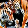 Cat And Tigers Diamond Painting