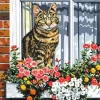 Cat By Window Diamond Painting