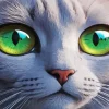Cat Eyes Diamond Painting