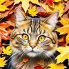 Cat In Fall Leaves Diamond Painting