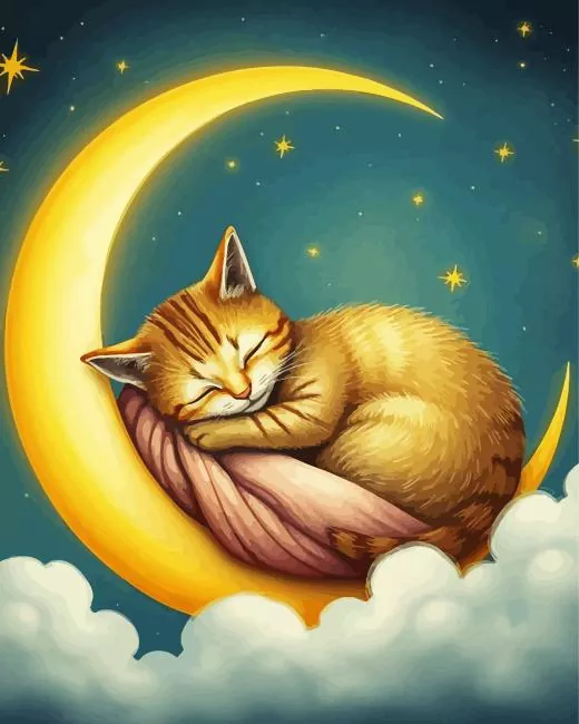 cat in the moon Diamond By Numbers Cat In The Moon Diamond Painting