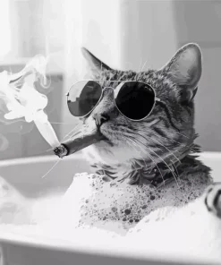 Cat Smoking In Bathroom Diamond Painting