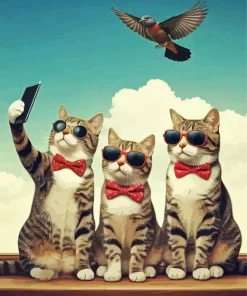 Cats Selfie Diamond Painting