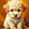 Cavoodle Puppy Diamond Painting