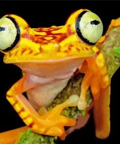 Chachi Tree Frog Diamond Painting