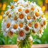 Chamomile Flowers Bouquet Diamond Painting