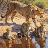 Cheetah And Cubs Diamond Painting