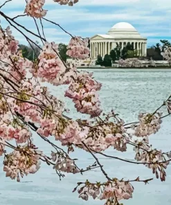 Cherry Blossom Jefferson Memorial Diamond Painting