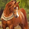 Chestnut Arabian Horse Diamond Painting