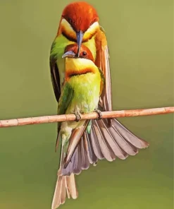 Chestnut Headed Bee Eater Birds Diamond Painting