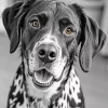 Cool Setter Black And White Diamond Painting