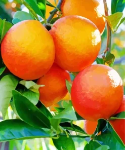 Green Leaves Orange Tree Diamond Painting