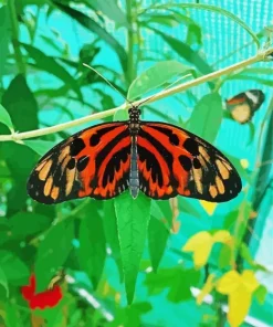 Orange And Black Butterfly Diamond Painting