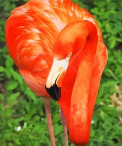 Orange Flamingo Bird Diamond Painting