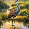 Sandhill Crane Art Diamond Painting