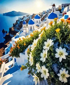 Santorini Flowers Art Diamond Painting
