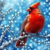 Winter Cardinal Art Diamond Painting